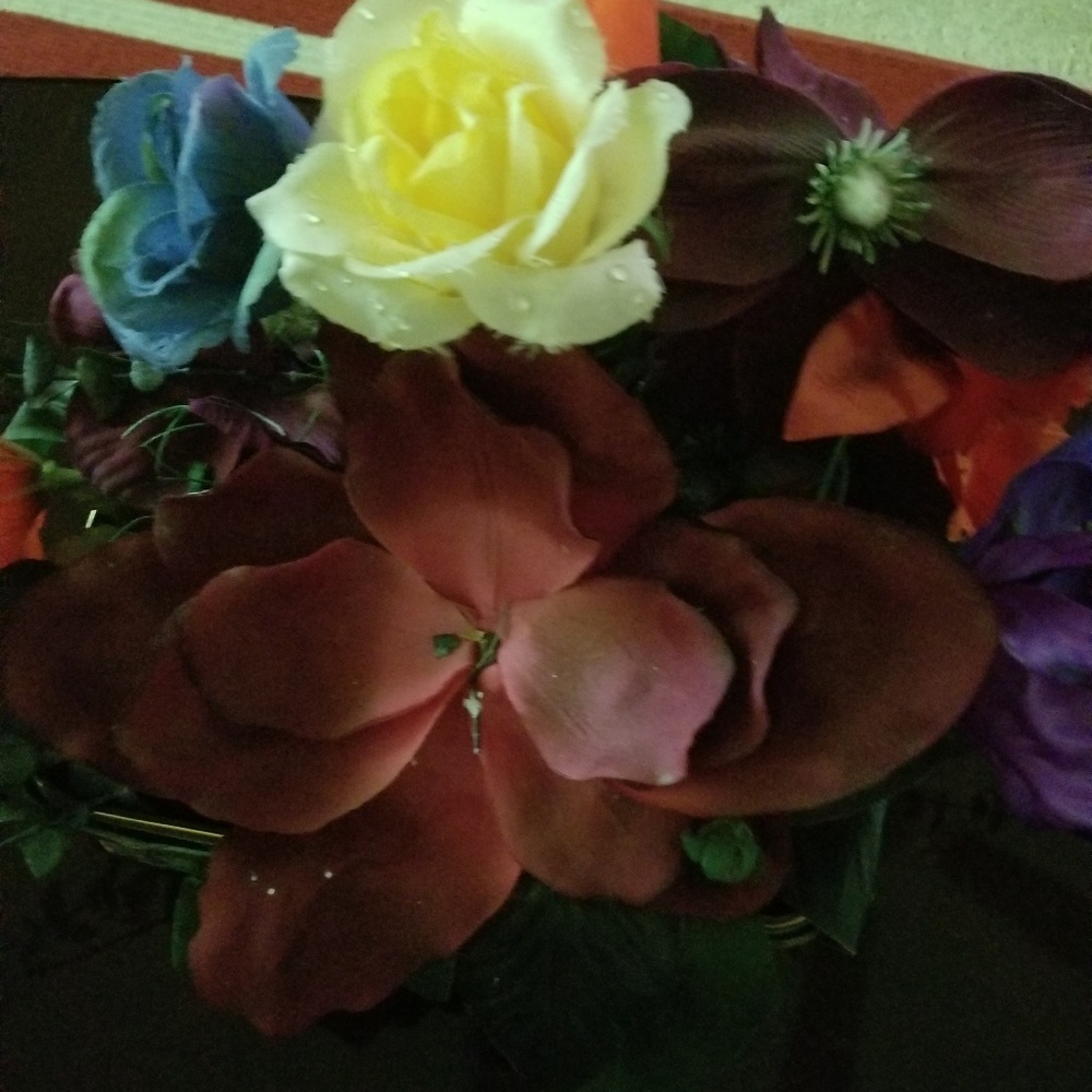 Meet your Posher, Doris